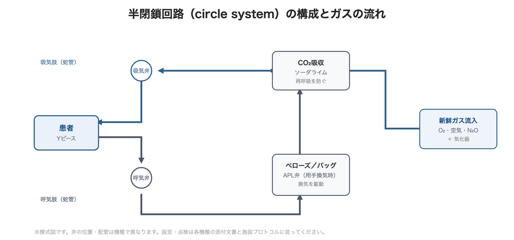 半閉鎖回路の構成：新鮮ガス→CO2吸収→吸気弁→吸気肢→患者→呼気肢→呼気弁→ベローズ／バッグ